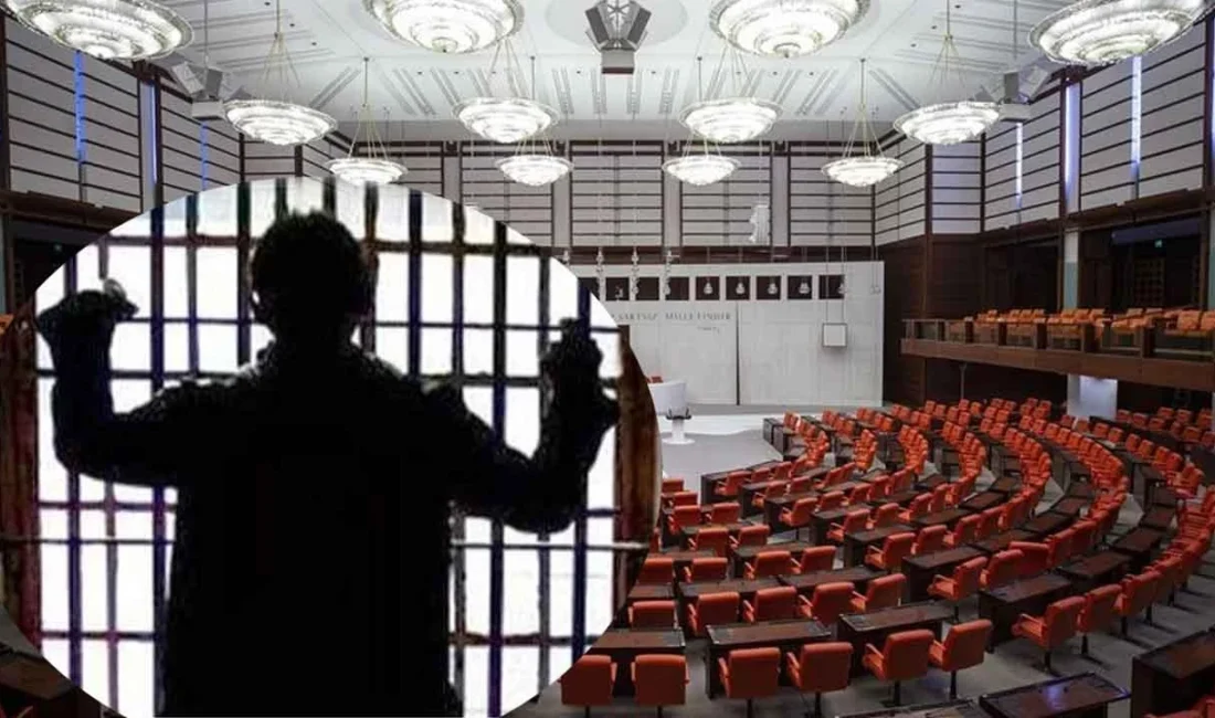 Sakarya Cumhuriyet Başsavcısı Hasan Uğurlu, TBMM Suça Sürüklenen Çocukları Araştırma