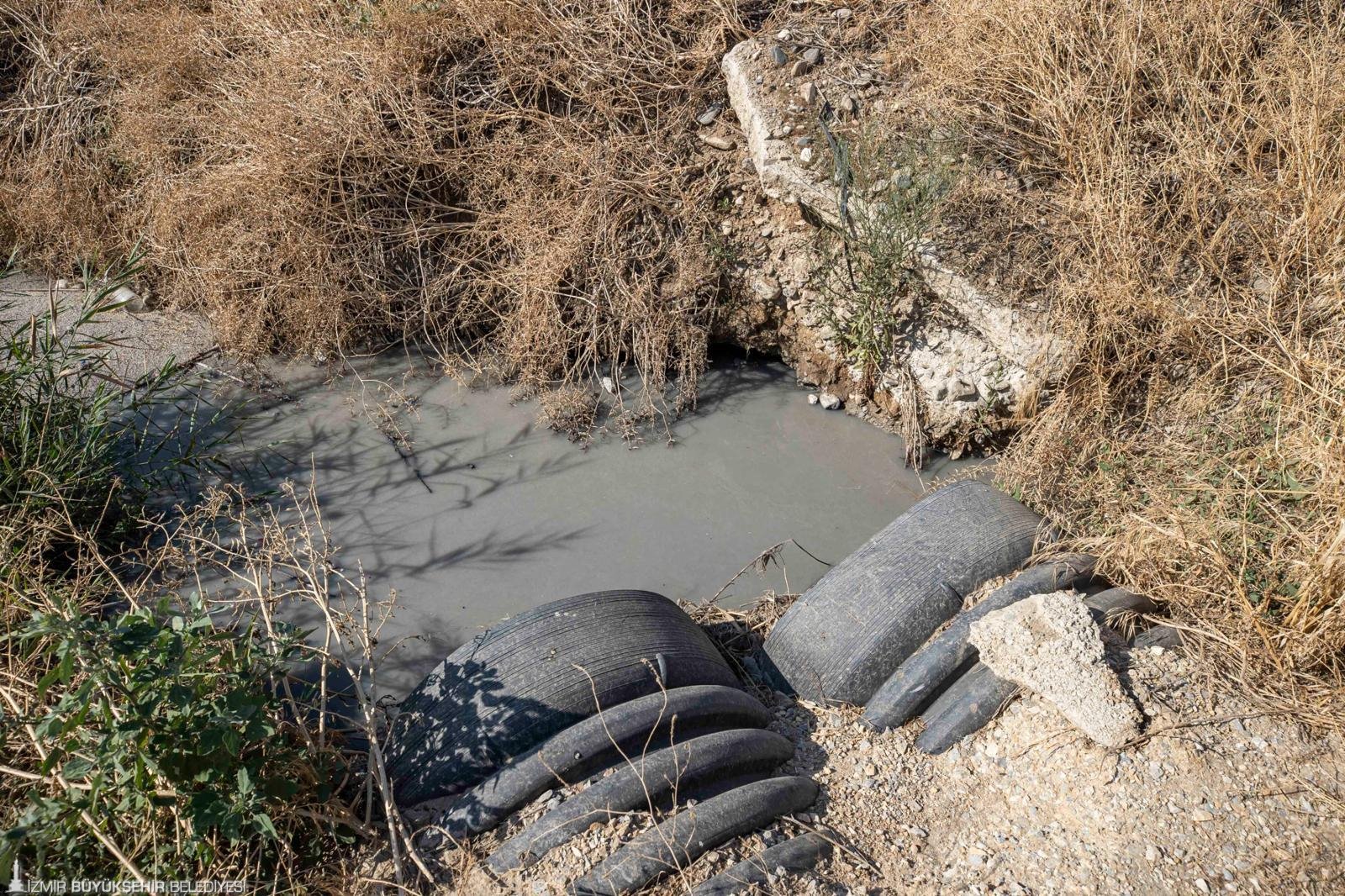 Gediz Nehri kirliliği 'alarm' veriyor: Körfez ve tarım büyük tehlike altında