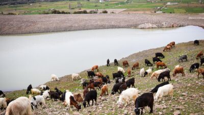 İzmir Büyükşehir Belediyesi, küresel iklim değişikliği ve artan kuraklık tehdidine