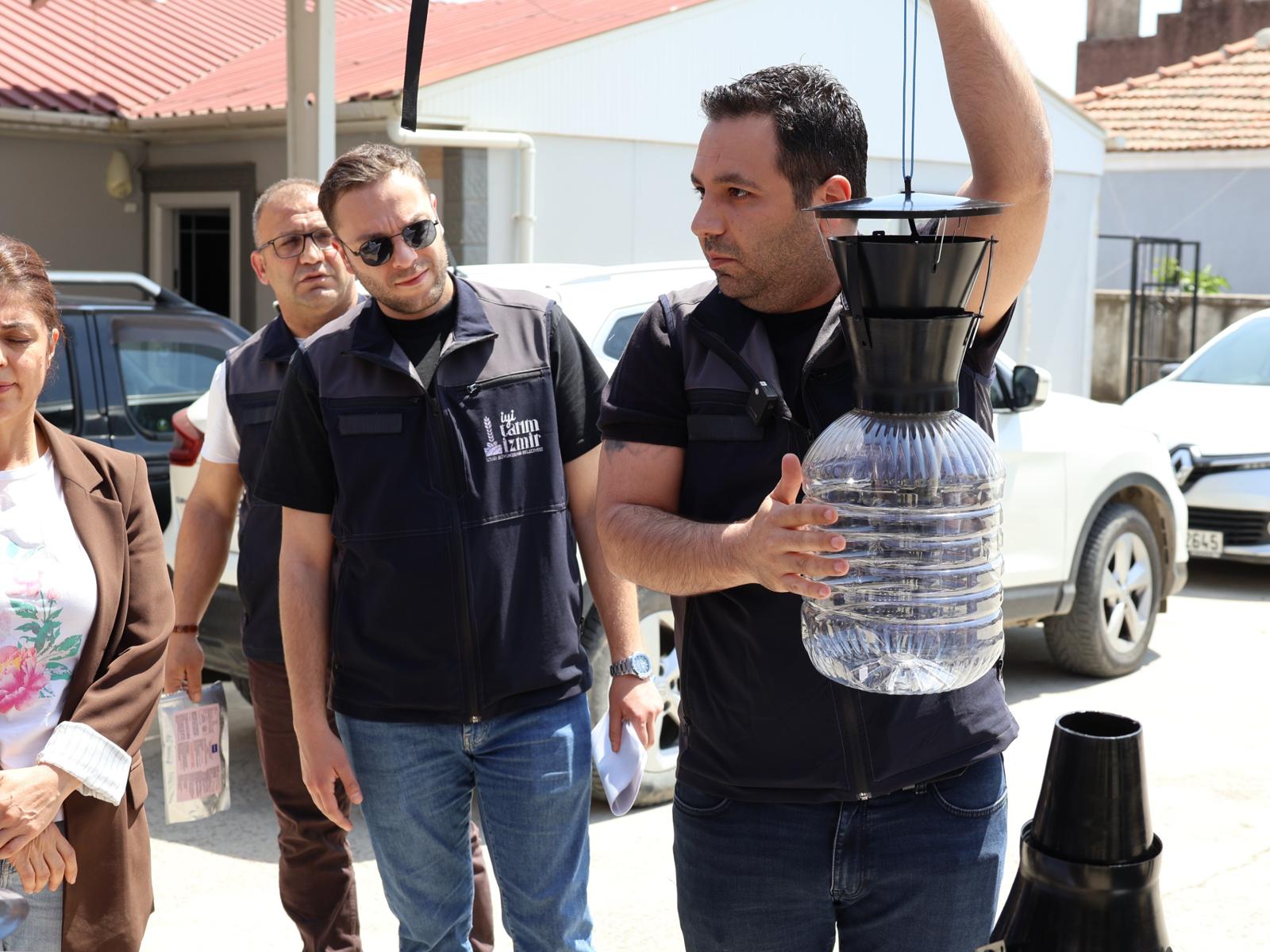 Çiftçinin alın teri dalında kurumasın diye: İzmir'de istilacı böceğe karşı tuzaklı savunma
