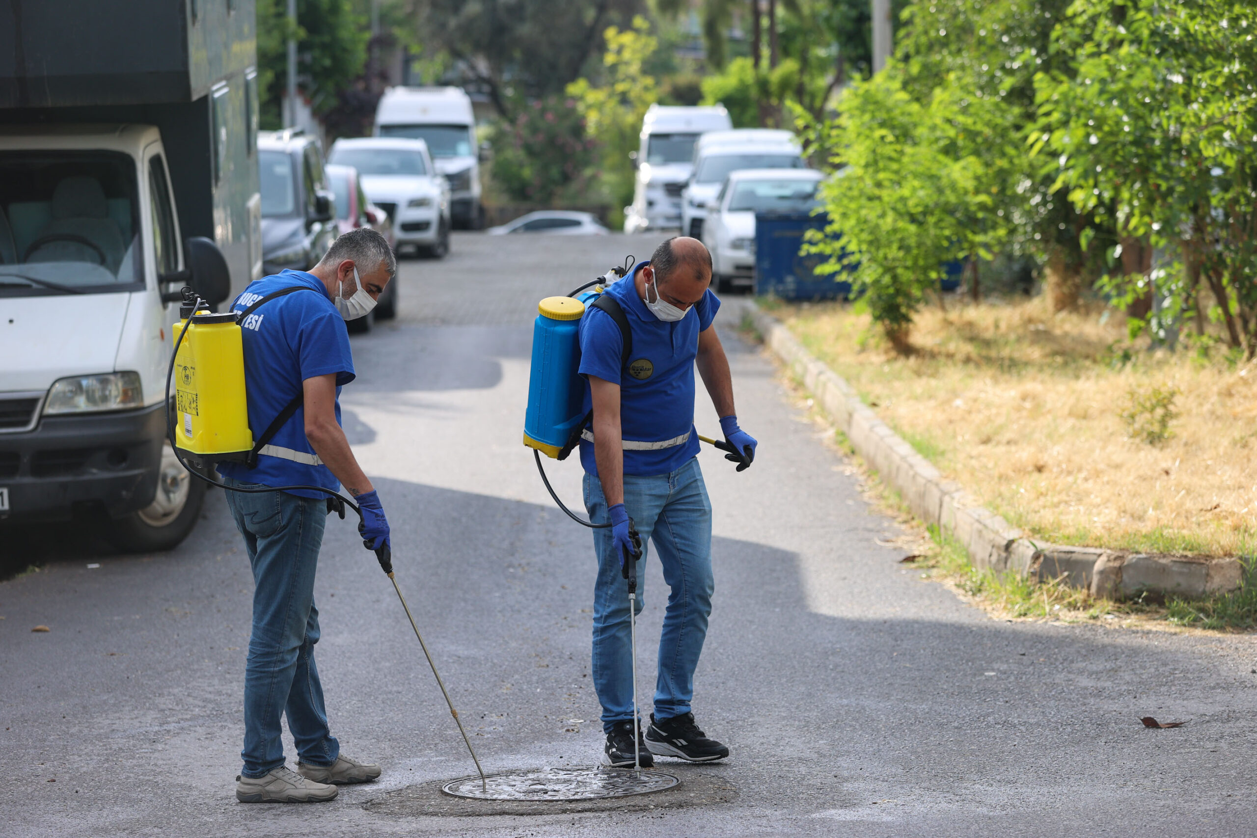Buca Belediyesi, yaz öncesi sivrisinek ve haşere kabusuna karşı dev