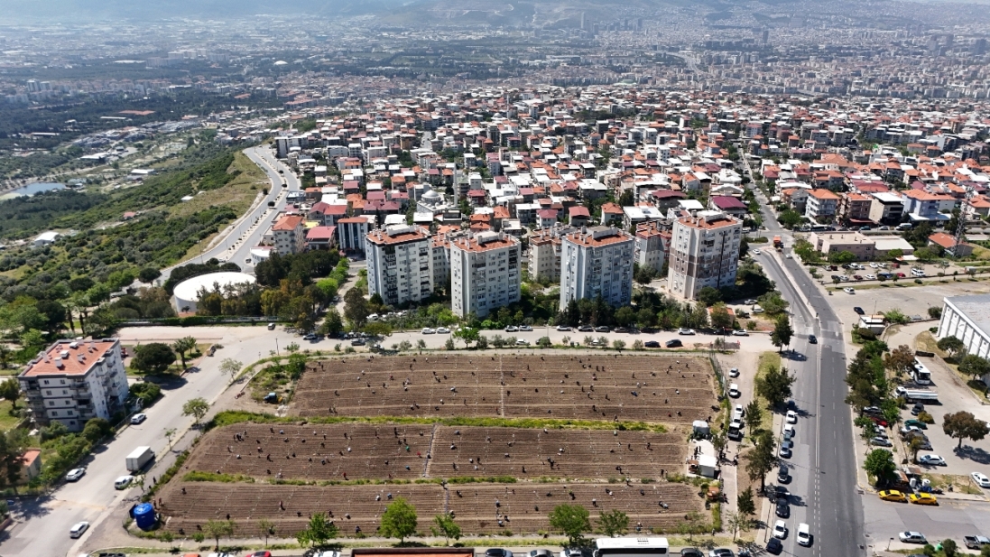 Bornova’nın ‘Kent Bostanları’ Avrupa’ya model oldu: 6 ülkeden geldiler, kadınlarla fide dikiler!