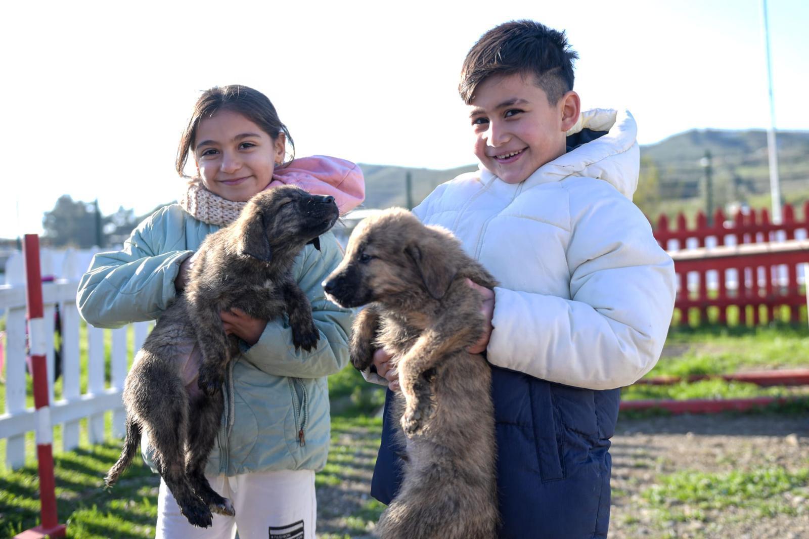 Büyükşehir’den Dikili’ye tam teşekküllü sokak hayvanları kampüsü: Sıradan bir barınak değil