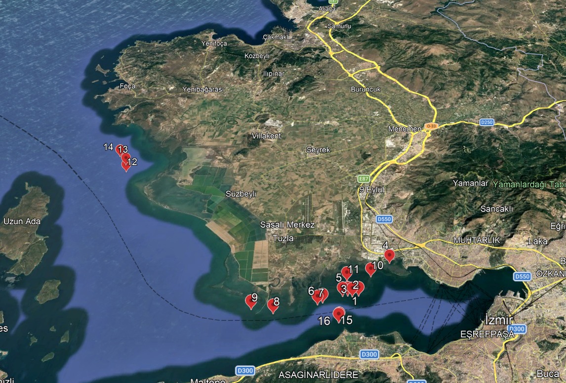 İzmir Körfezi’nde 'Deniz Marulu' seferberliği: Sadece mayıs ayında 300 ton toplandı! 3 İzmir Körfezi’nde 'Deniz Marulu' seferberliği: Sadece mayıs ayında 300 ton toplandı!