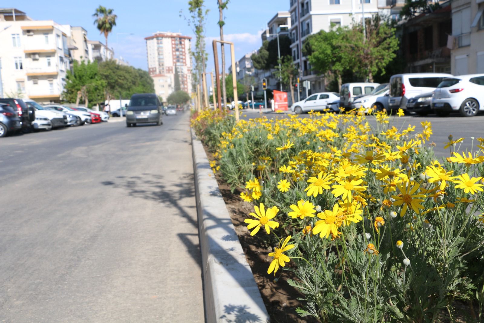 İzmir yaza çiçek açarak hazırlanıyor: 44 noktada estetik ve ekolojik dokunuş 1 İzmir yaza çiçek açarak hazırlanıyor: 44 noktada estetik ve ekolojik dokunuş