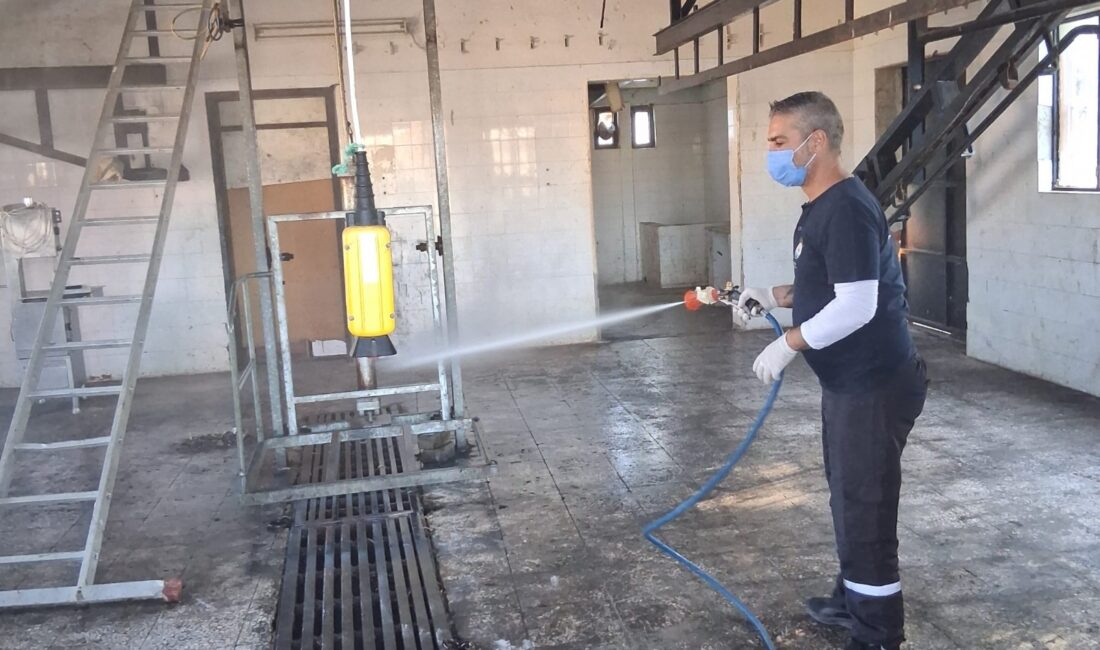 Çiğli'de çöp konteynerleri ve kurban alanları özel ilaçlarla dezenfekte edildi,
