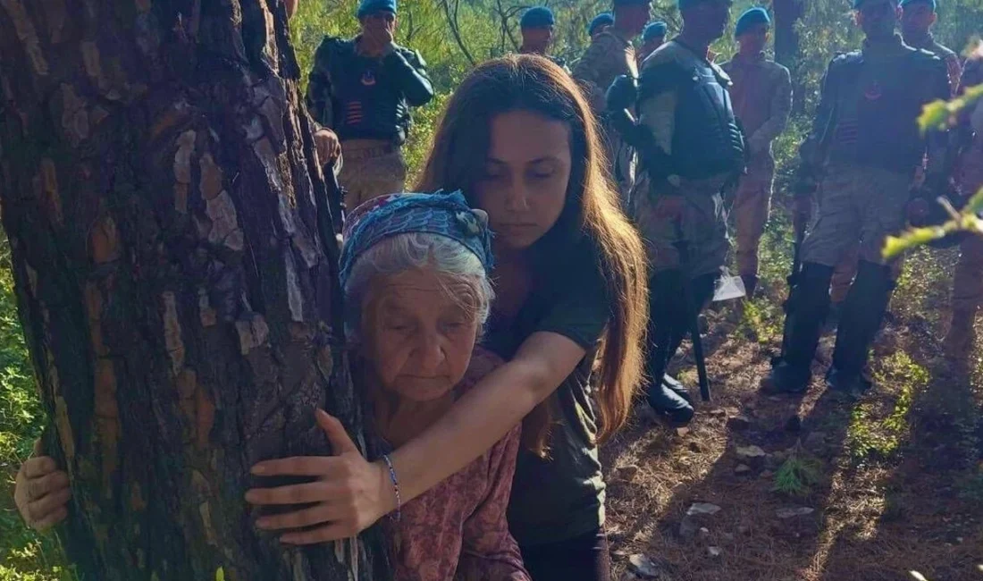 Muğla’nın Milas ilçesinde Akbelen Ormanı’nı ve zeytinliklerini kömür madenine karşı