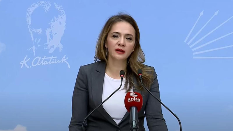 TÜİK’in 2025 gelir raporu acı tabloyu ortaya koydu! 

CHP İstanbul