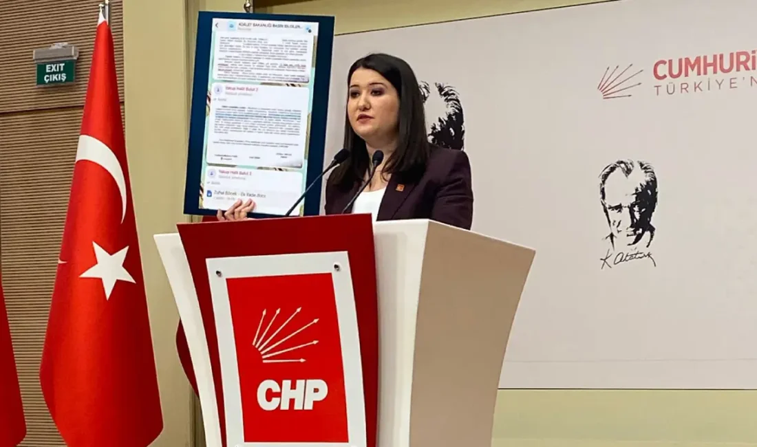 CHP Genel Başkan Yardımcısı Gökçe Gökçen, Adalet Bakanlığı'nın kurduğu bir