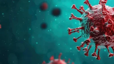 'MV Hondius' gemisindeki salgın sonrası Türkiye’ye getirilen yolcuların tetkikleri tamamlandı.
