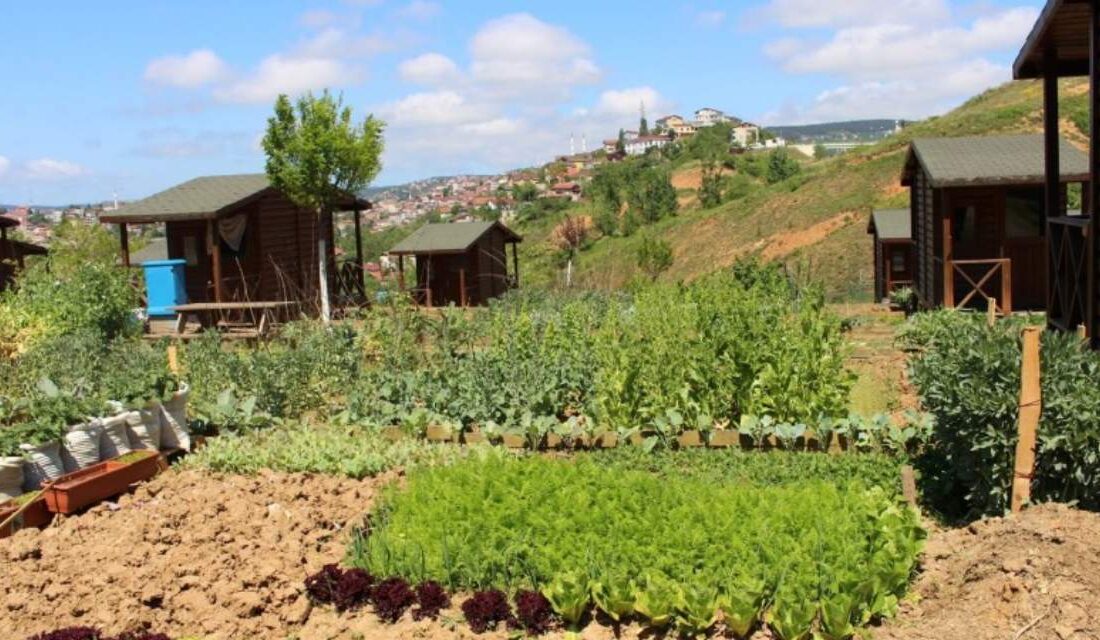 Tarım ve Orman Bakanı İbrahim Yumaklı, tarım arazilerinin parsel parsel