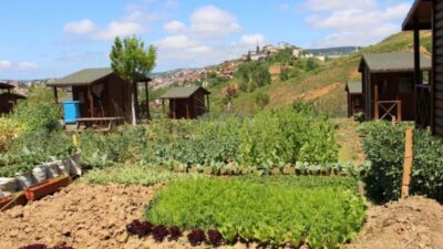 Tarım ve Orman Bakanı İbrahim Yumaklı, tarım arazilerinin parsel parsel