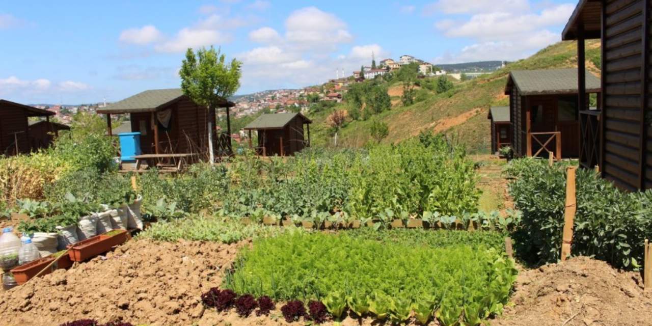 Bakan Yumaklı’dan "hobi bahçesi" talimatı: "Hobi bahçesi yoktur kaçak yapı vardır!"