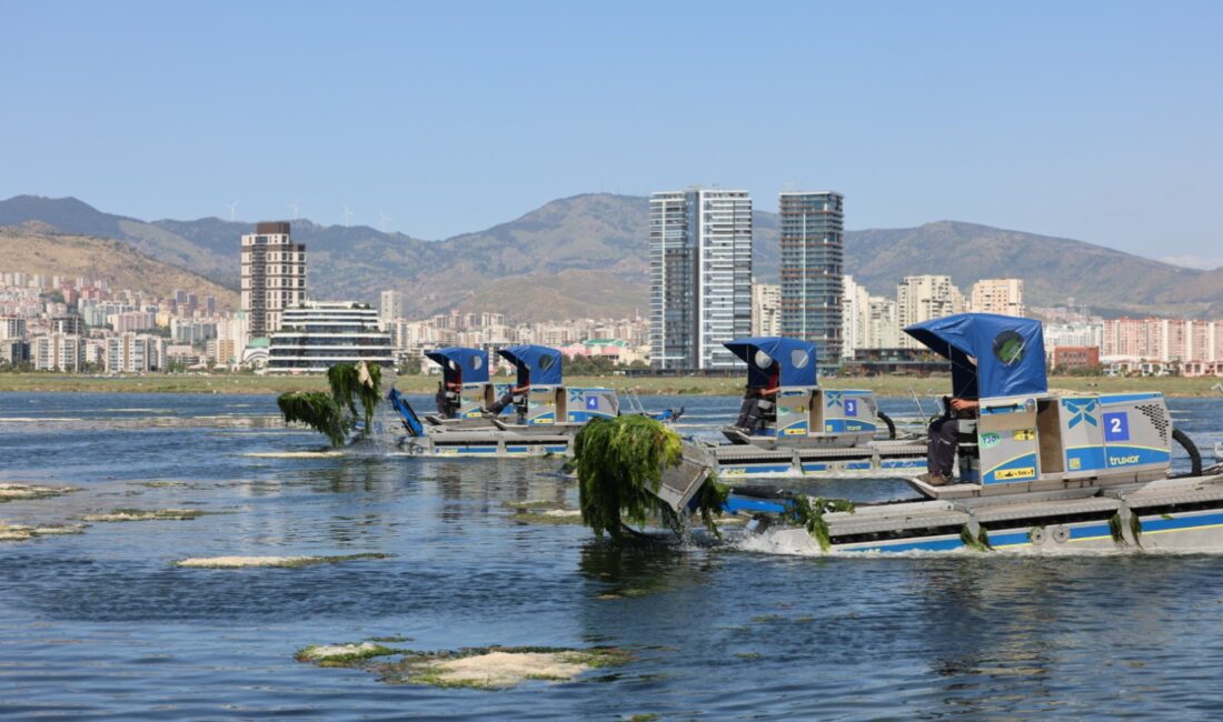 İzmir Büyükşehir Belediyesi ve İZDENİZ ekipleri, Gediz Nehri ve Ağıl