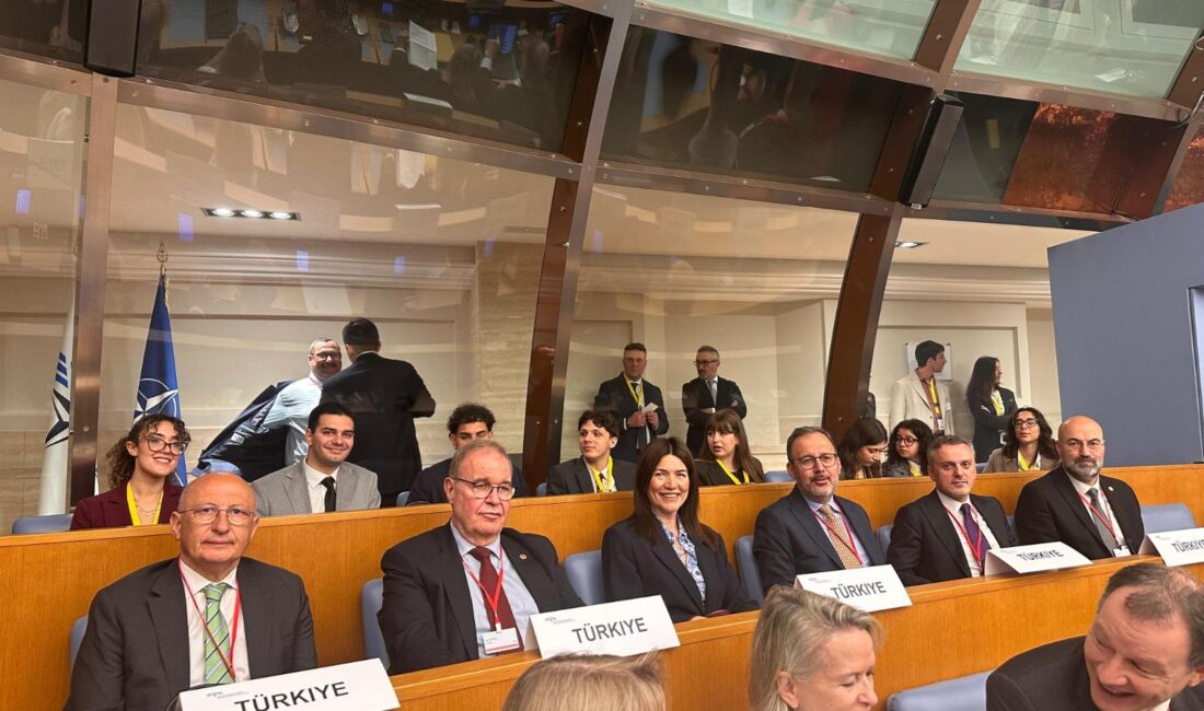 AK Parti İzmir Milletvekili ve NATO Parlamenter Asamblesi (NATO PA)