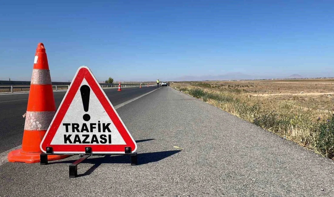İzmir'in Ödemiş ilçesinde, fidan yüklü bir kamyonet ile karşı yönden