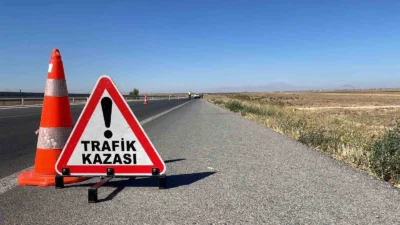 İzmir'in Ödemiş ilçesinde, fidan yüklü bir kamyonet ile karşı yönden