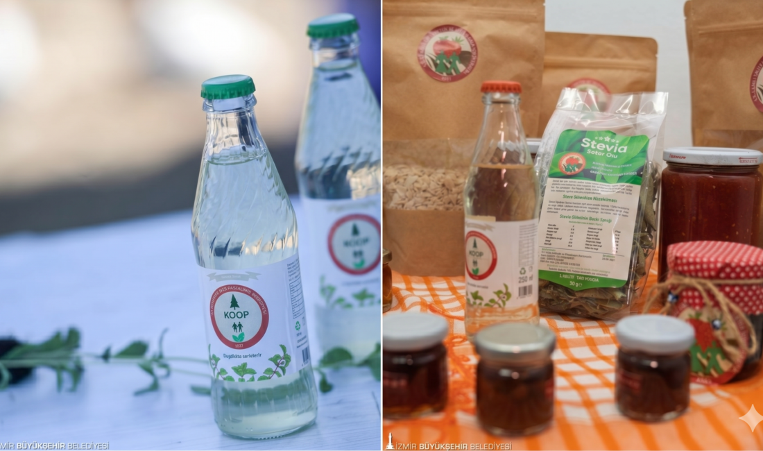 Türkiye’nin ilk şekersiz stevia gazozunu üreterek tarih yazan Güzelbahçe Çamlı