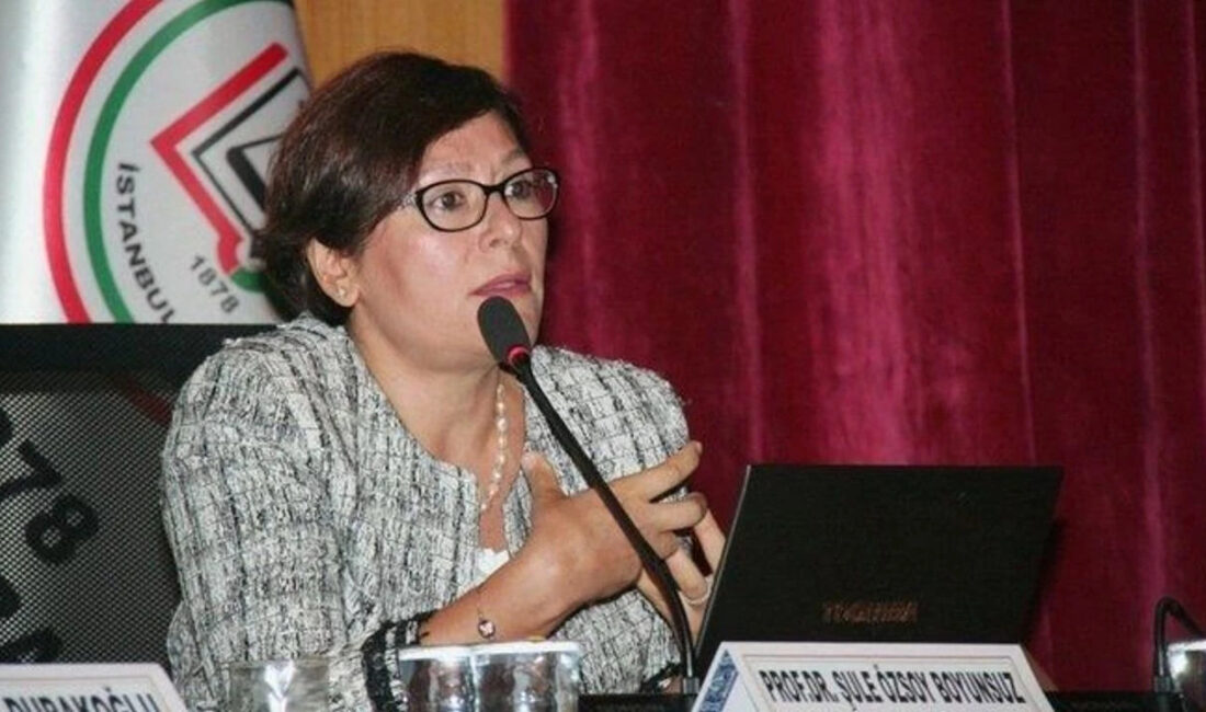 CHP Adalet Politikaları Kurulu Başkanı ve GSÜ Öğretim Üyesi, Anayasa