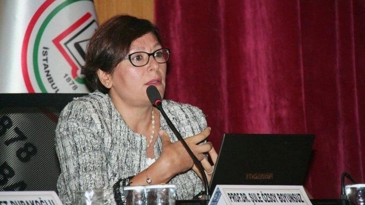 CHP Adalet Politikaları Kurulu Başkanı ve GSÜ Öğretim Üyesi, Anayasa