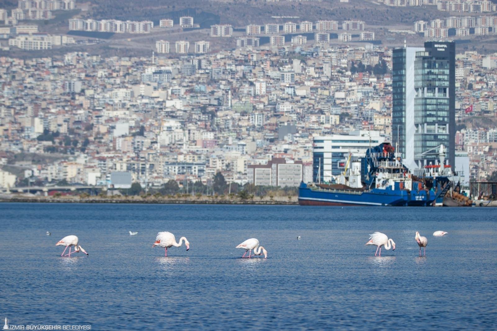İzmir Körfezi'nde1,2 milyon ton dip çamuru, binlerce ton atık temizlendi