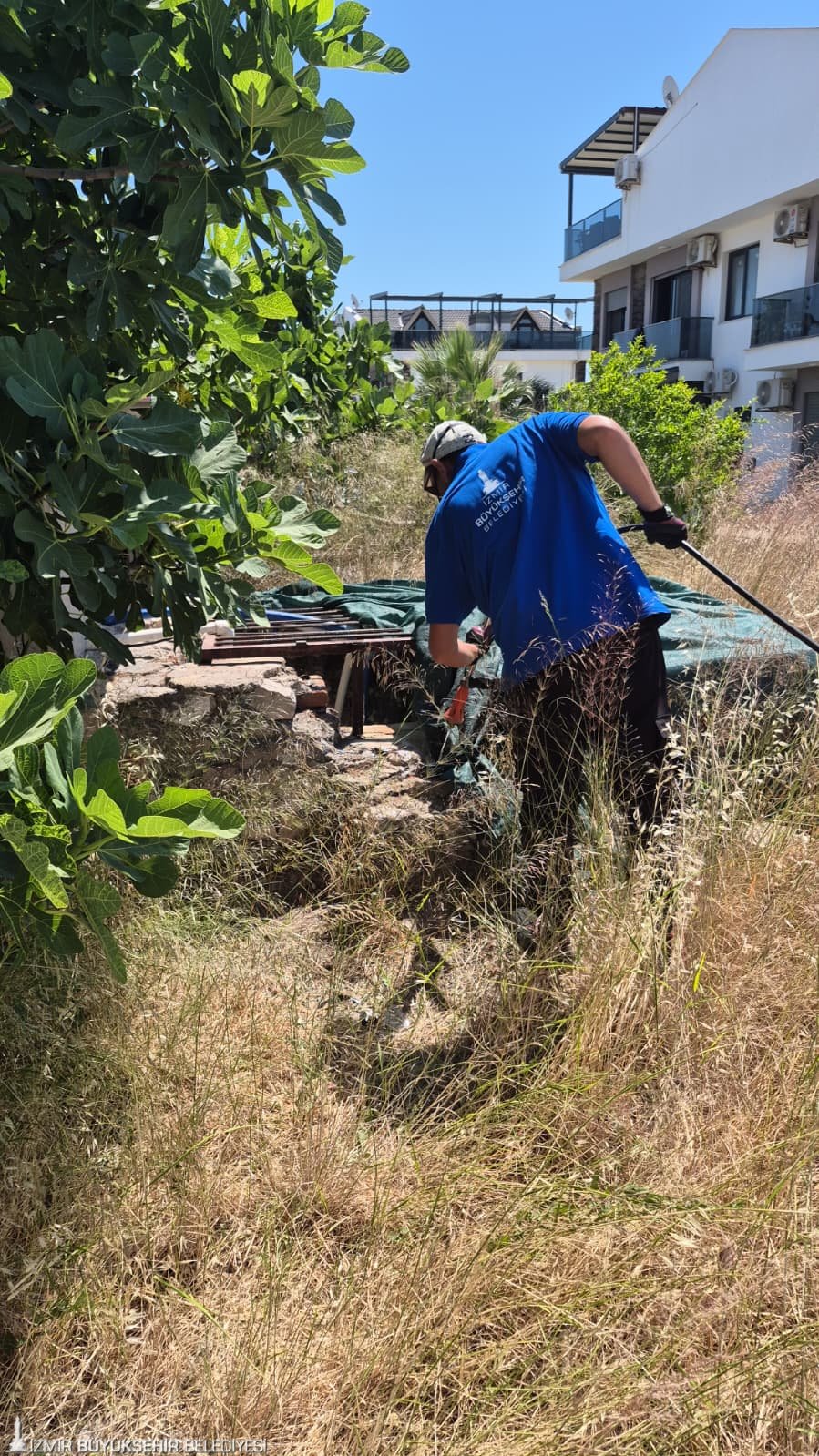 İzmir’de sivrisineğe karşı dev mücadele: 254 bin noktada 12 ay kesintisiz mücadele
