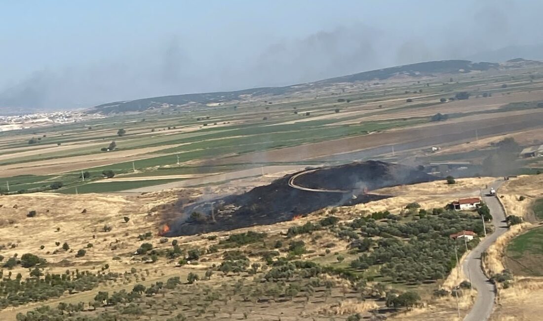 Foça’da makilik alandaki yangın kontrol altına alındı. 