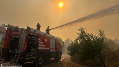 İzmir’in Dikili ilçesine bağlı Çandarlı Mahallesi’nde zeytinlik alanda başlayıp ormanlık