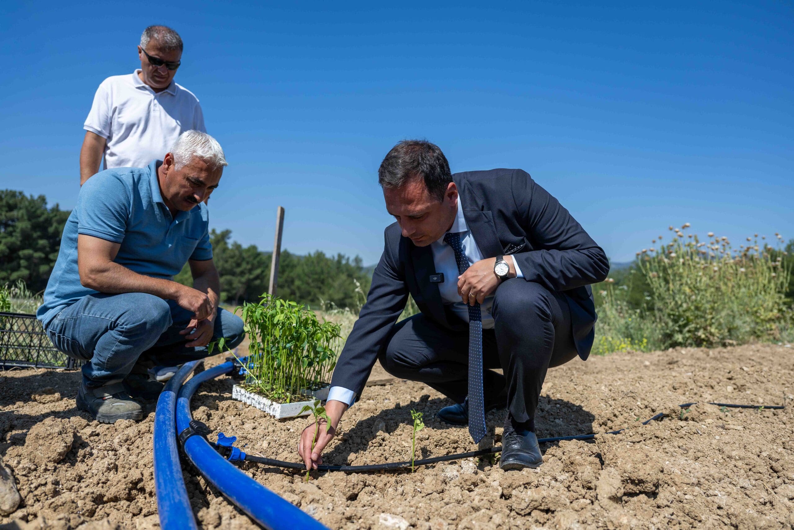 Bornova’da atıl topraklar hayat buluyor: 105 ton sebze-meyve ücretsiz dağıtılacak