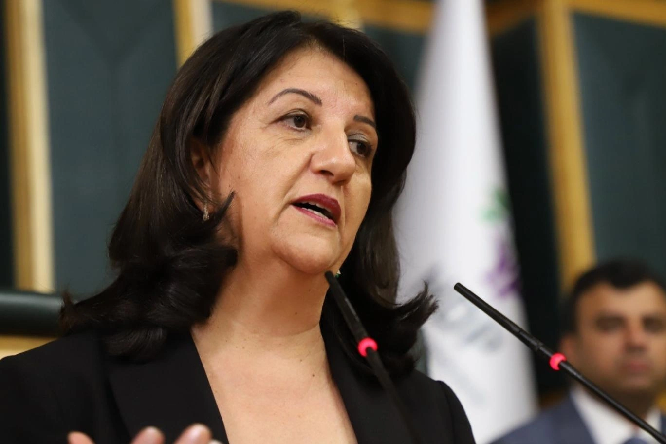 DEM Parti İmralı heyeti üyesi Pervin Buldan, PKK mensuplarını kapsayacak