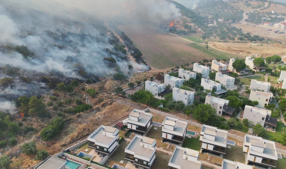 Dikili’nin Çandarlı Mahallesi’nde otluk ve zeytinlik alanda çıkan yangına ekiplerin