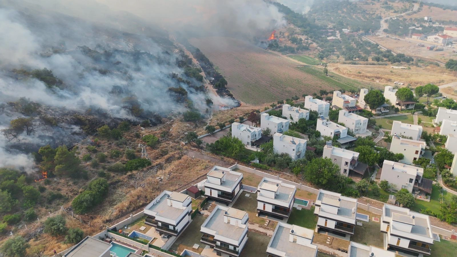 Dikili alev alev: Yangın sitelere kadar dayandı