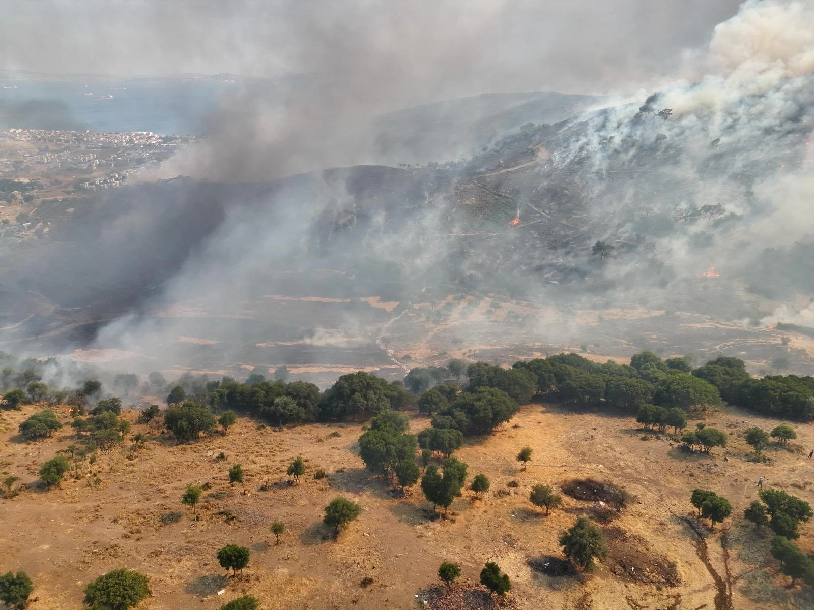 Dikili alev alev: Yangın sitelere kadar dayandı