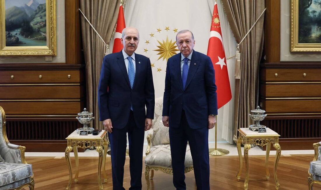 Cumhurbaşkanı Recep Tayyip Erdoğan, Türkiye Büyük Millet Meclisi (TBMM) Başkanı