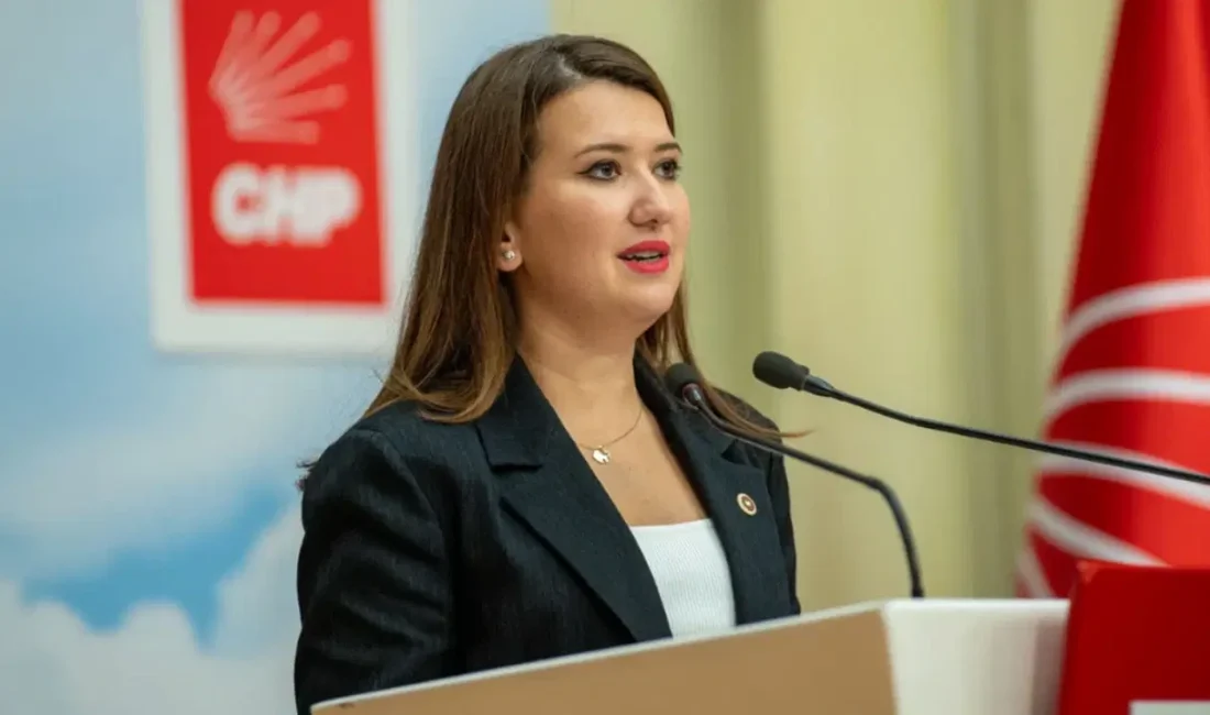 CHP İzmir Milletvekili Gökçe Gökçen, parti genel merkezindeki odasının basıldığını,