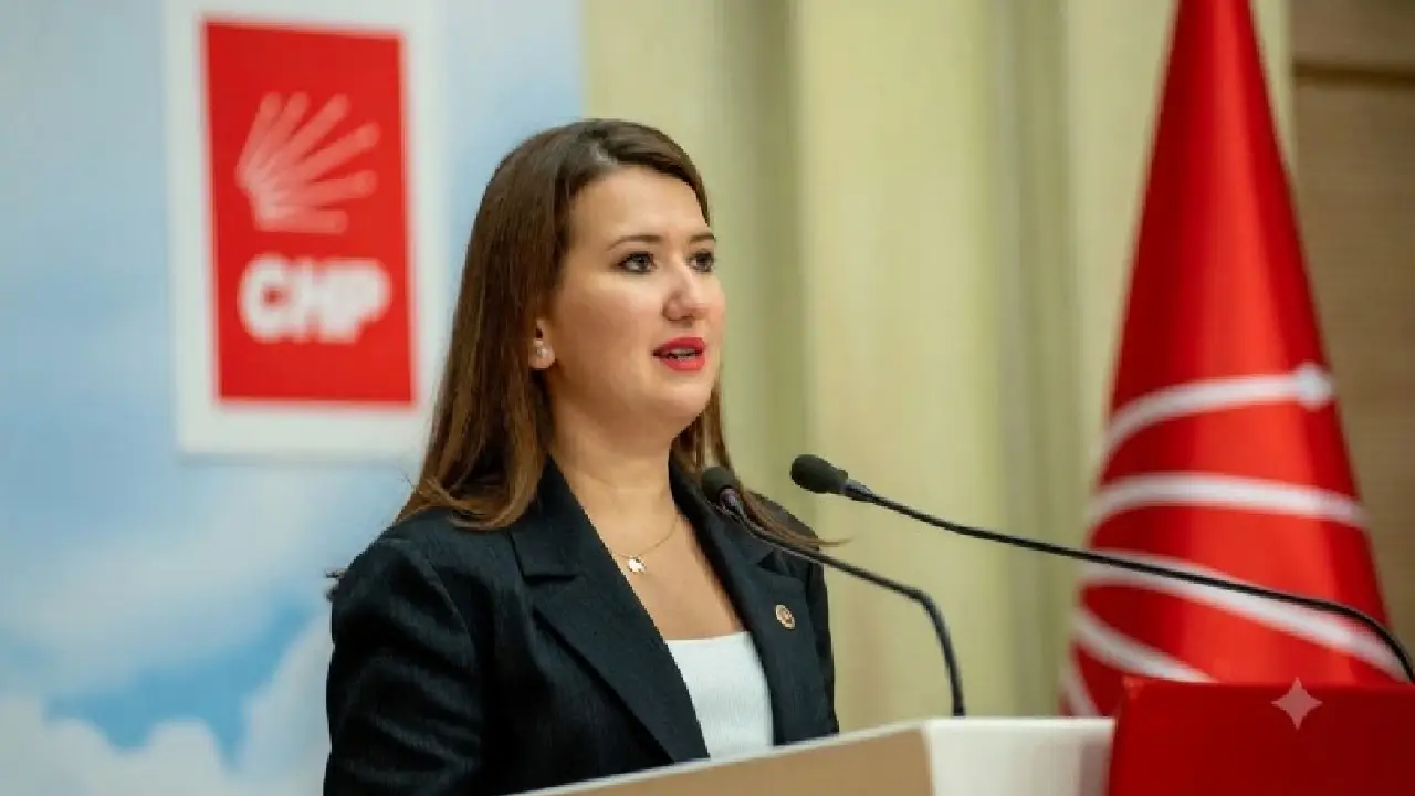CHP İzmir Milletvekili Gökçe Gökçen, önümüzdeki ay Ankara’da düzenlenecek NATO