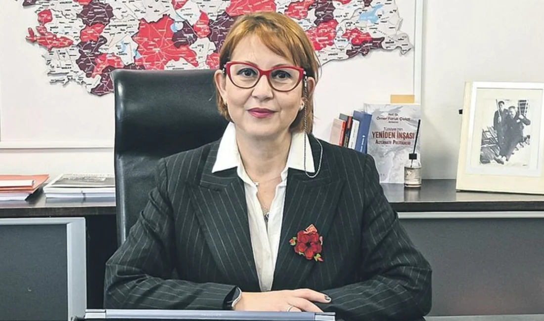 CHP Ekonomi Politikalarından Sorumlu Genel Başkan Yardımcısı Güldem Atabay, Anayasa