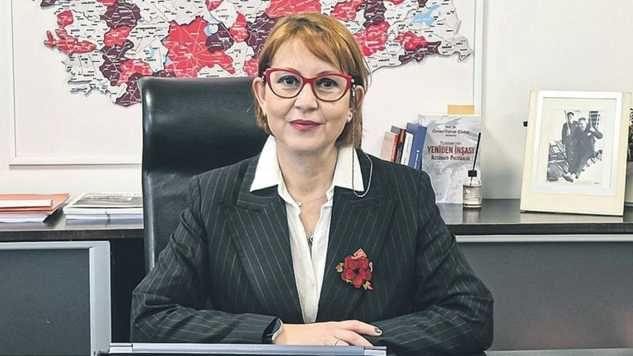 CHP Ekonomi Politikalarından Sorumlu Genel Başkan Yardımcısı Güldem Atabay, Anayasa