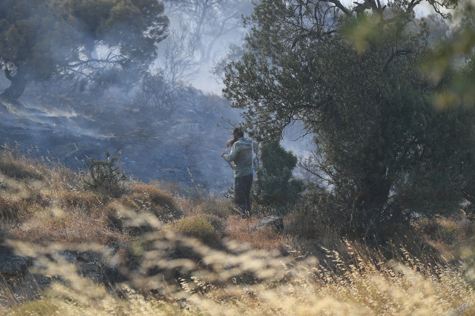 İzmir'de korku dolu gece: Çandarlı orman yangınında sabaha karşı müjdeli haber geldi!