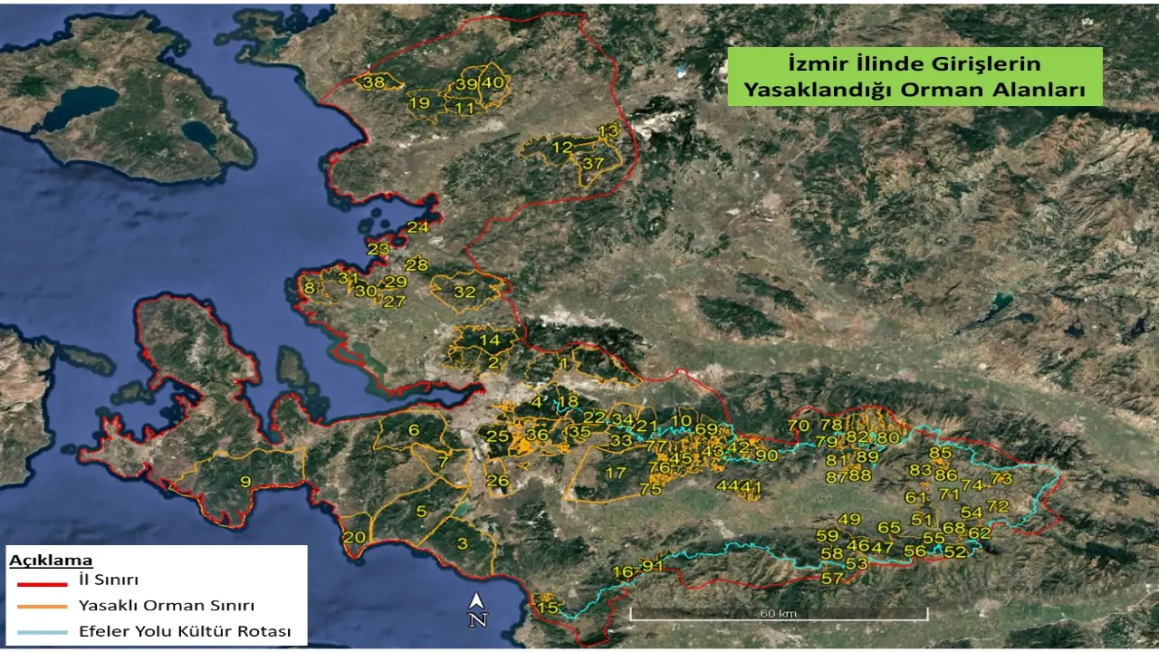 İzmir'de 5 aylık kilit dönem başladı: Ormanlık alanlara girişler tamamen yasaklandı