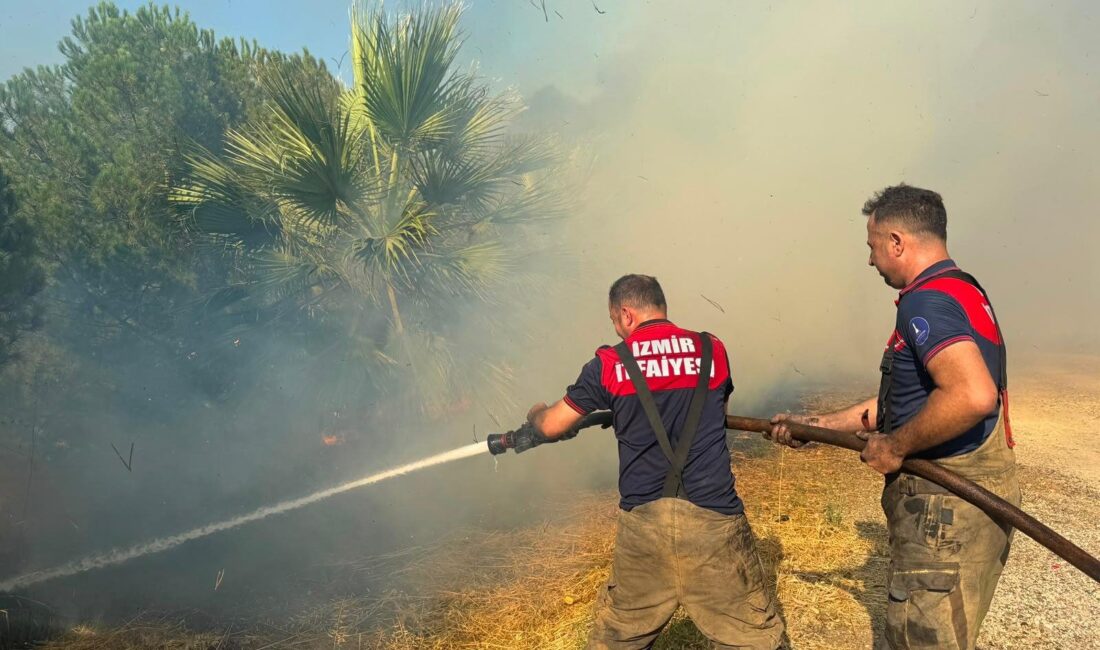 İzmir’in Menemen ilçesi Serbest Bölge mevkiinde çıkan ot yangını, rüzgarın