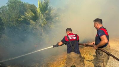 İzmir’in Menemen ilçesi Serbest Bölge mevkiinde çıkan ot yangını, rüzgarın