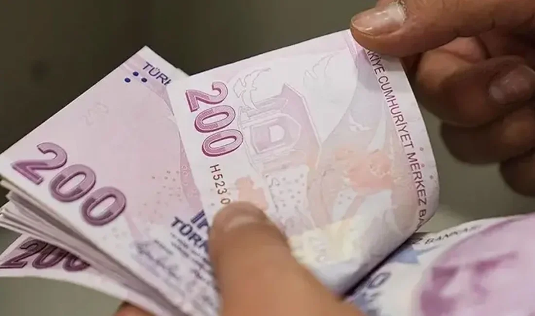 Cumhuriyet yazarı Nergis Şimşek, Temmuz zammı için SSK, Bağ-Kur ve