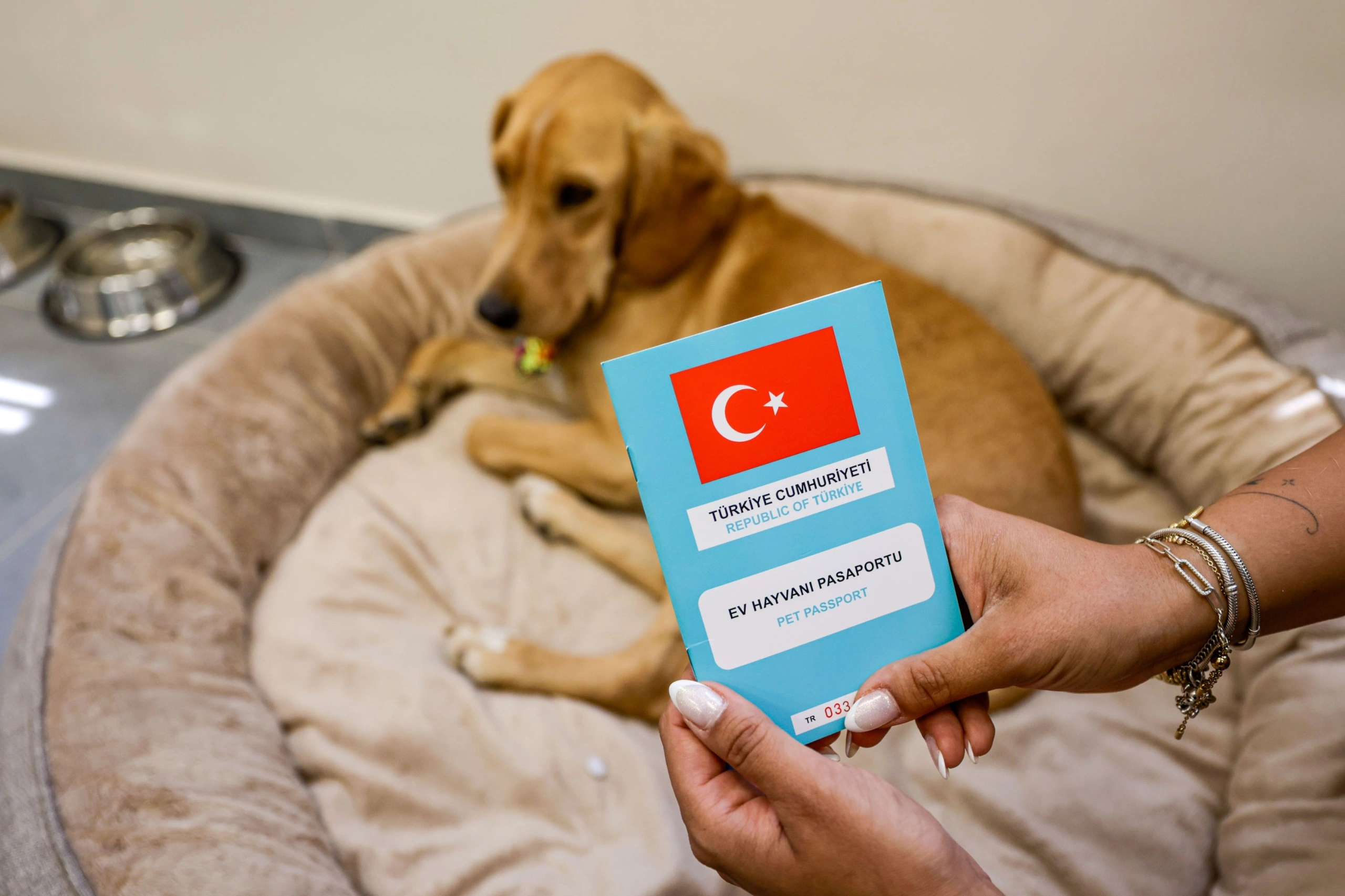 Patili dost Bal, merkezin neşesi oldu