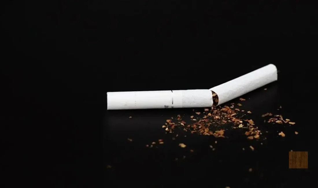 Sağlık Bakanı Kemal Memişoğlu, tütün ve tütün mamullerinin kullanımını azaltmak