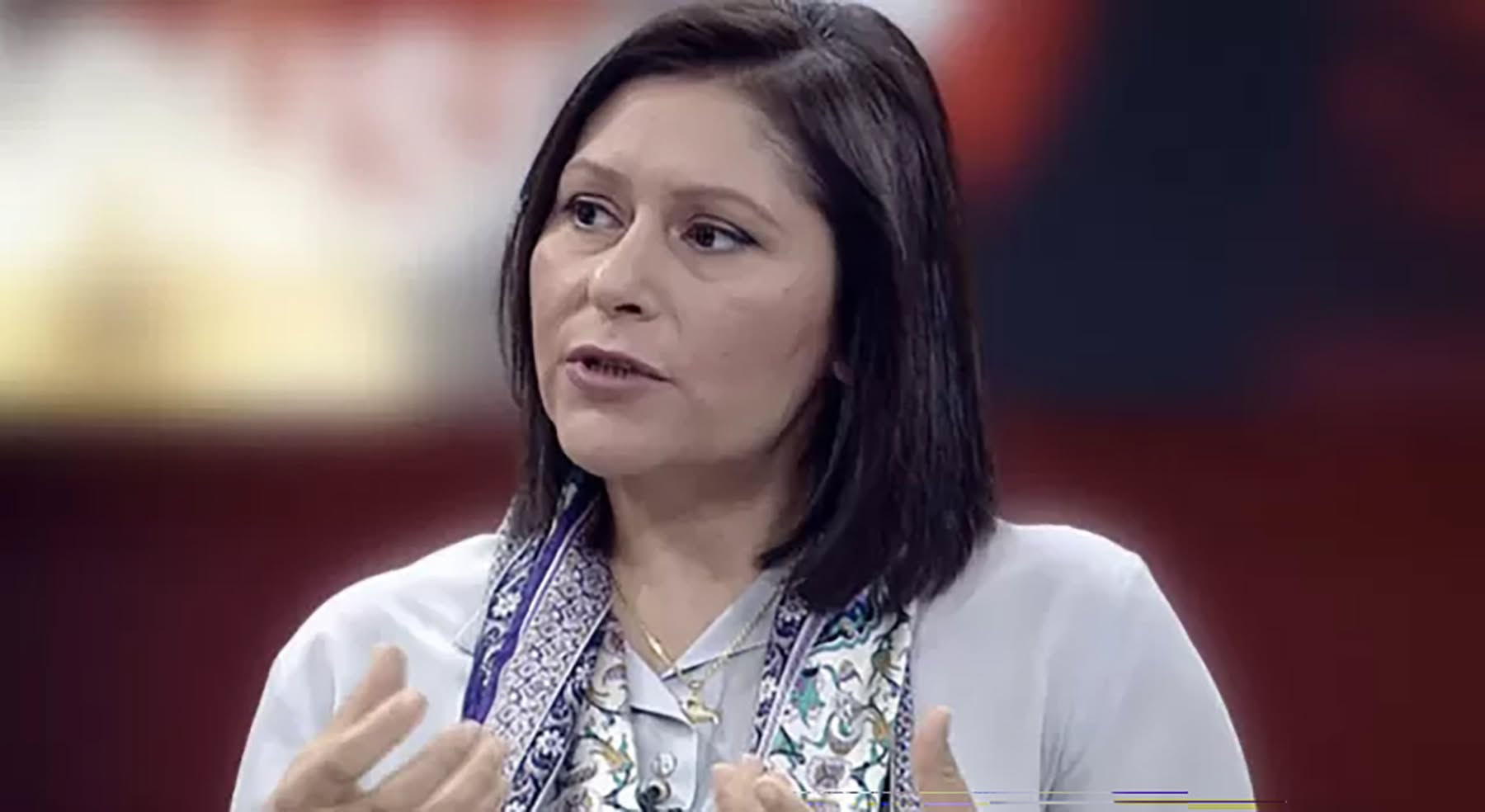 AYM'nin süresiz nafaka iptalini Anayasa Hukukçusu Prof. Şule Özsoy Boyunsuz Demokrat Gündem'e değerlendirdi
