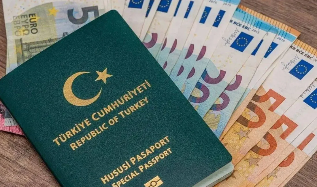 Avrupa Parlamentosu'nun Türkiye raporu üzerinden sosyal medyada yayılan "yeşil pasaportla