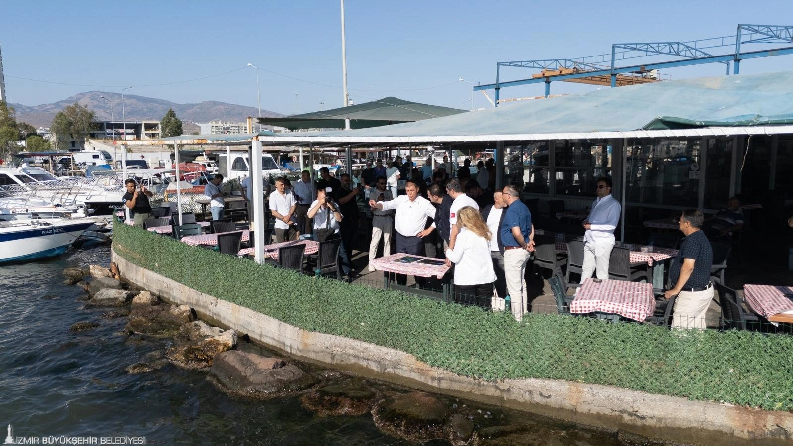 İzmir Körfezi'nde 25 yıl sonra mucize: Mavişehir’de 25 yıl sonra karides bereketi