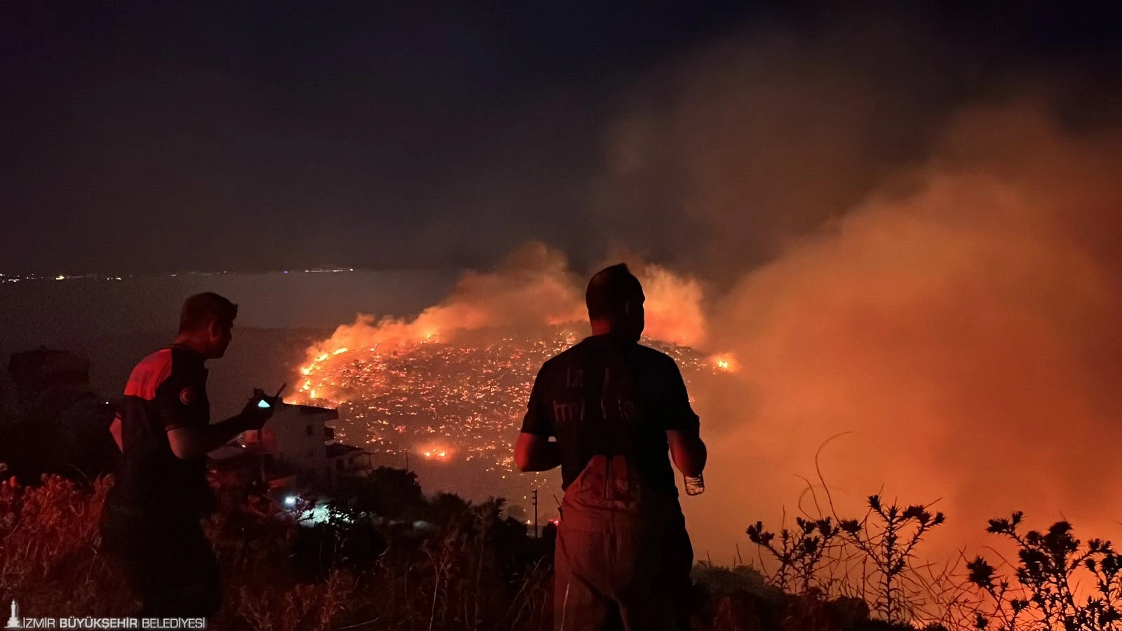 Muğla, Antalya ve Balıkesir başta olmak üzere ülke genelindeki orman