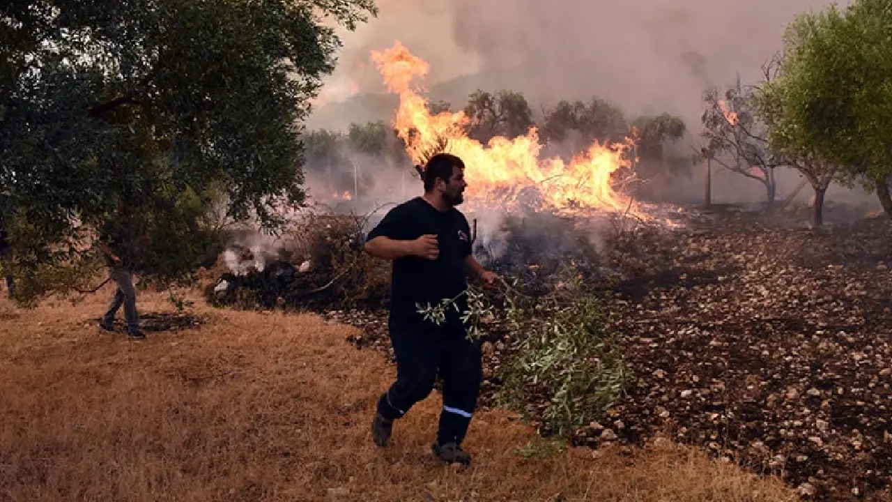 Aydın’da orman yangınında ikinci gün kabusu! Tahliyeler devam ediyor